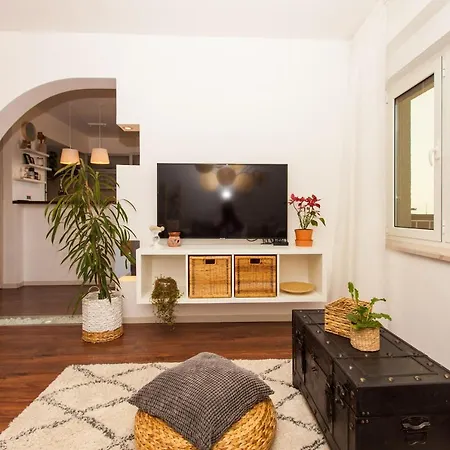 Apartment Musicology *